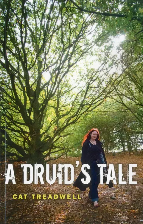 Cover of Druid`s Tale, A