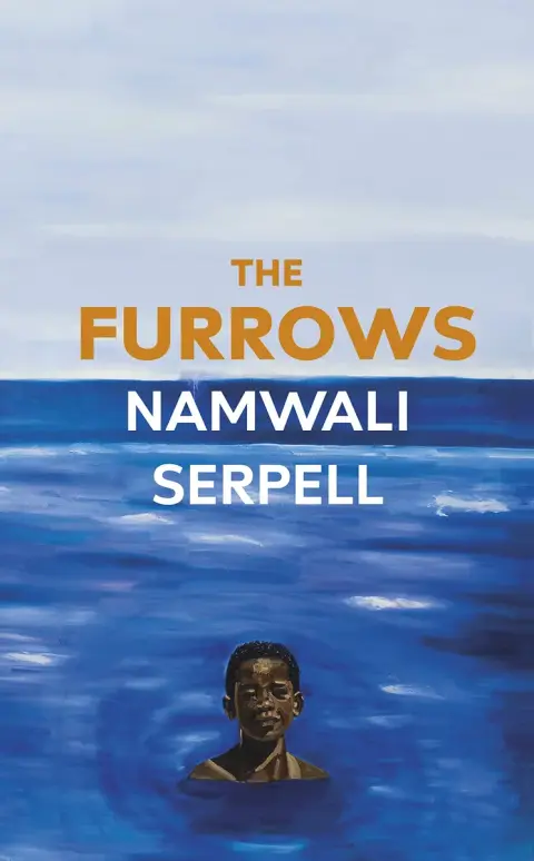 Cover of The Furrows
