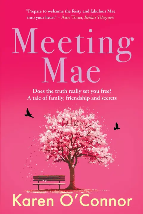 Cover of Meeting Mae
