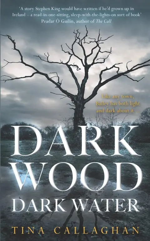 Cover of Dark Wood Dark Water