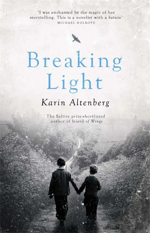 Cover of Breaking Light