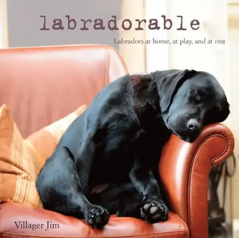 Cover of Labradorable