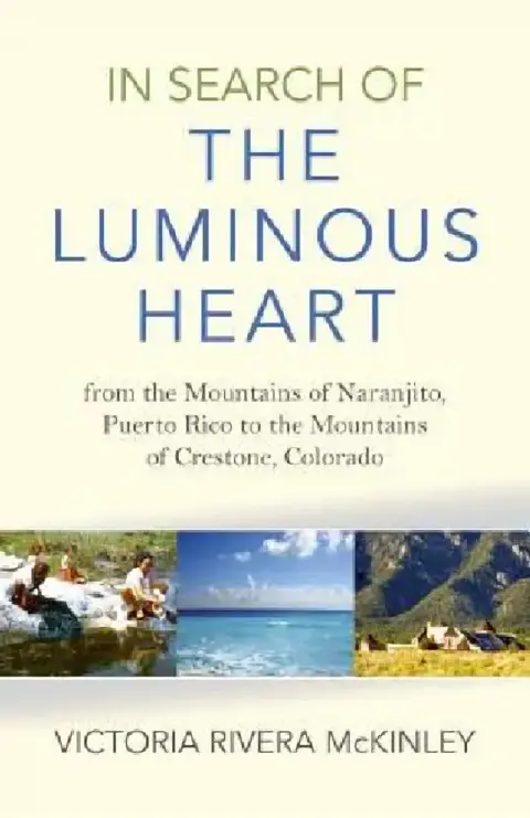 Cover of In Search of the Luminous Heart