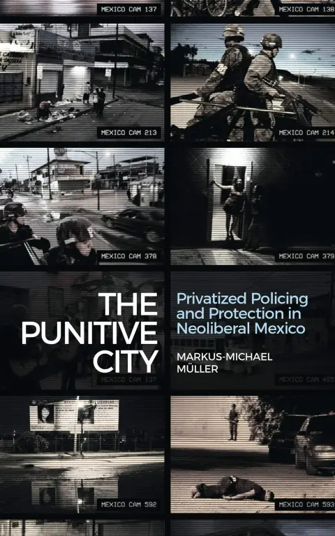 Cover of The Punitive City