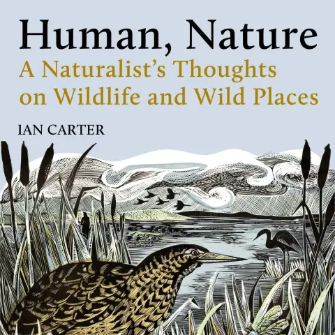 Cover of Human, Nature