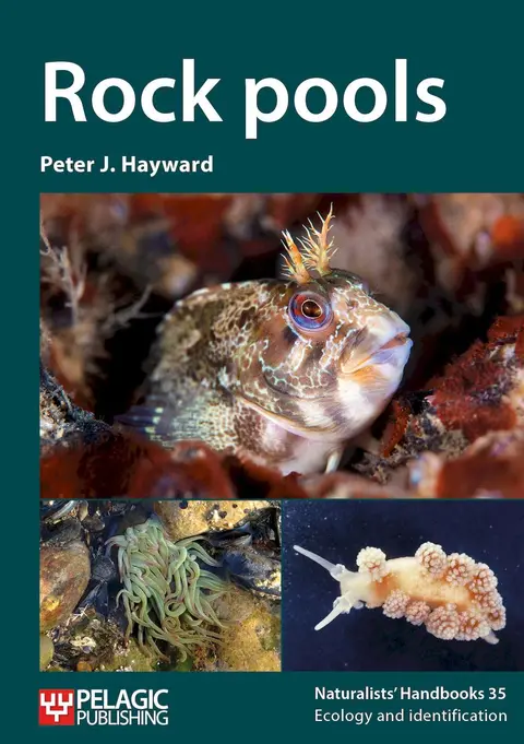 Cover of Rock Pools