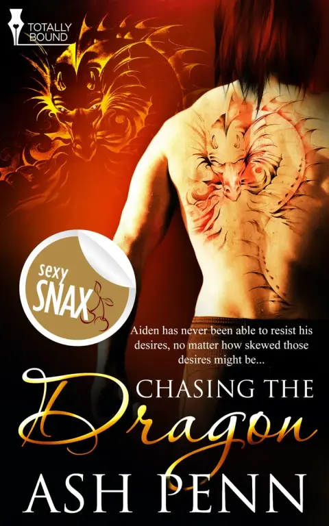 Cover of Chasing the Dragon