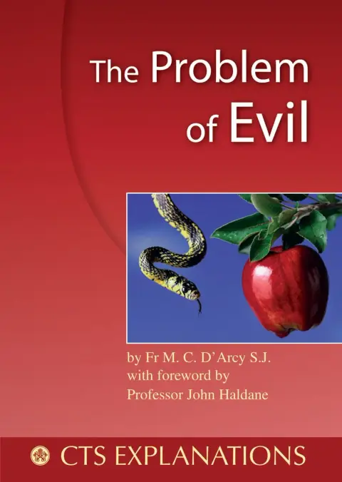 Cover of The Problem of Evil