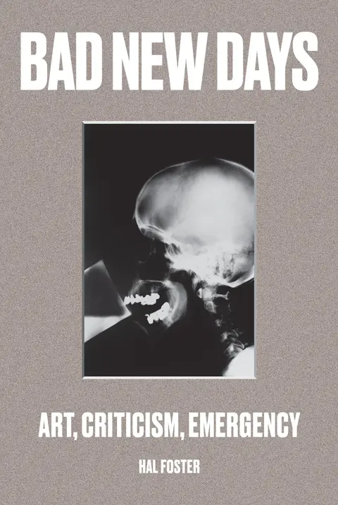 Cover of Bad New Days