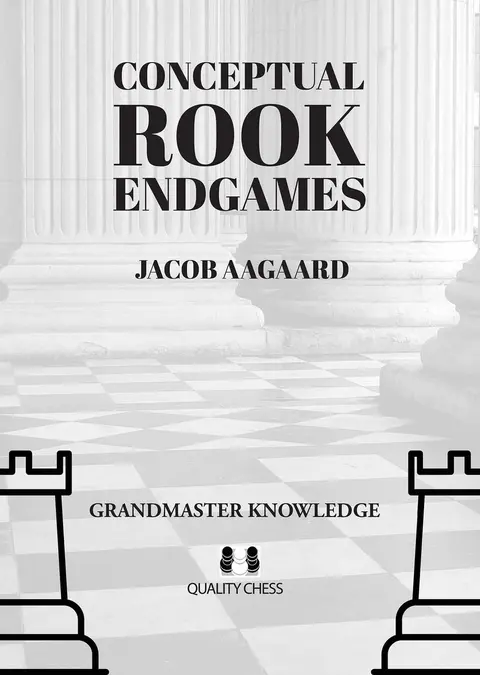 Cover of Conceptual Rook Endgames