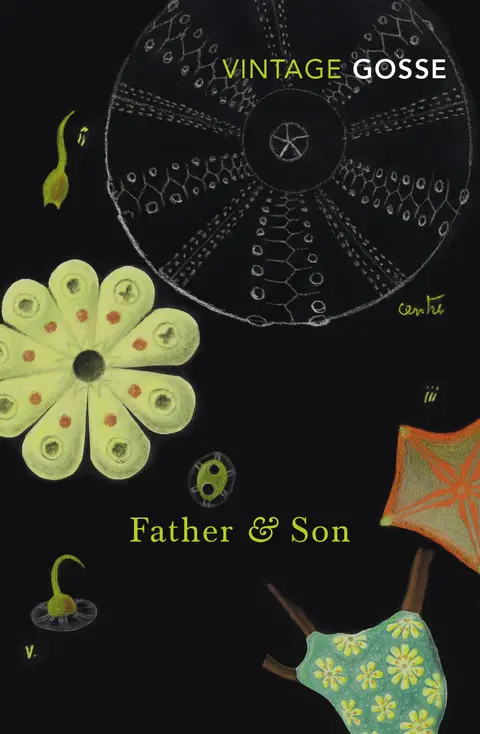 Cover of Father and Son