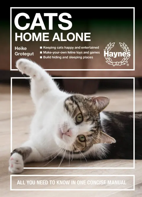 Cover of Cats Home Alone