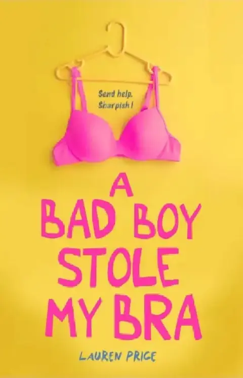 Cover of A Bad Boy Stole My Bra