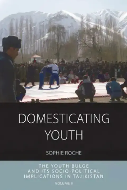 Cover of Domesticating Youth