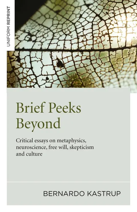 Cover of Brief Peeks Beyond