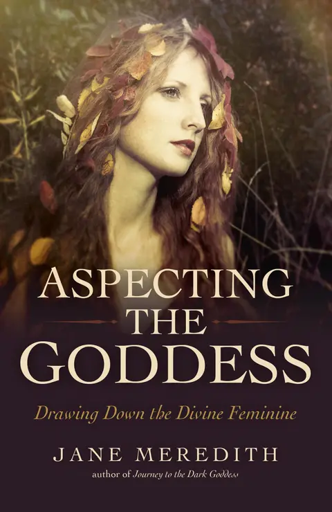 Cover of Aspecting the Goddess