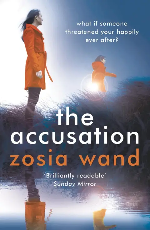 Cover of The Accusation