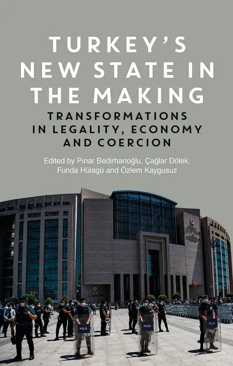 Cover of Turkey's New State in the Making