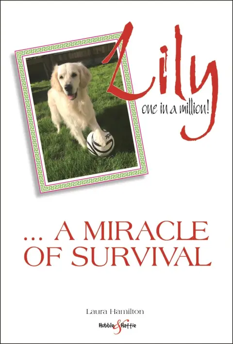 Cover of Lily