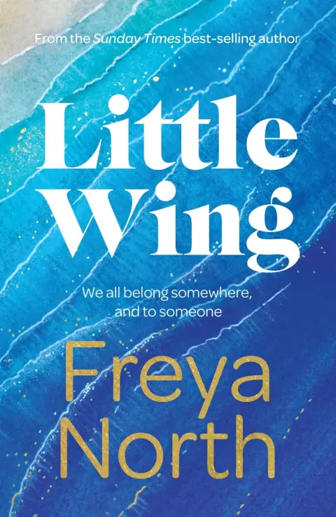 Cover of Little Wing