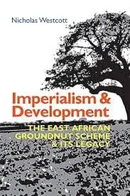 Cover of Imperialism and Development
