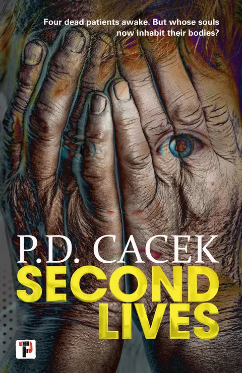 Cover of Second Lives