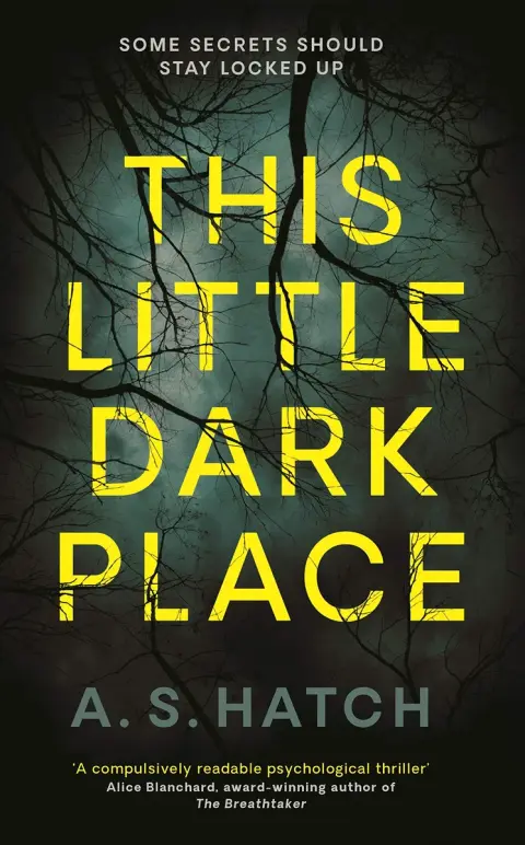 Cover of This Little Dark Place
