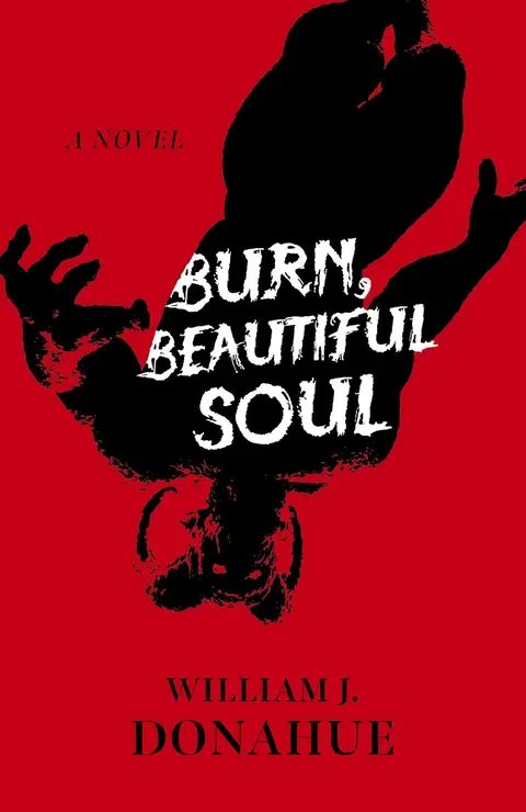 Cover of Burn, Beautiful Soul