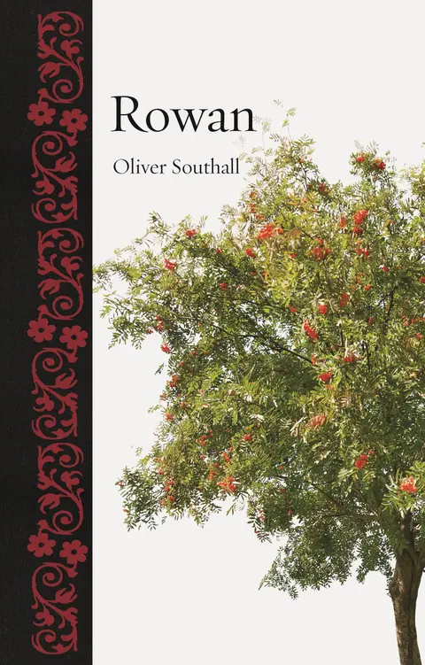 Cover of Rowan