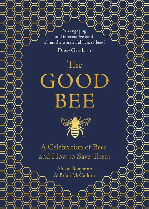 Cover of The Good Bee