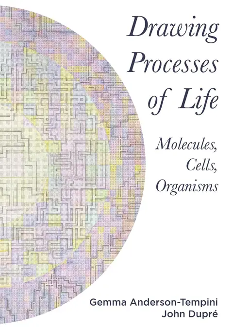 Cover of Drawing Processes of Life
