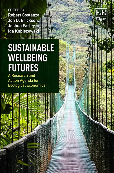 Cover of Sustainable Wellbeing Futures