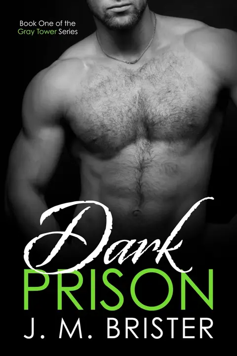 Cover of Dark Prison