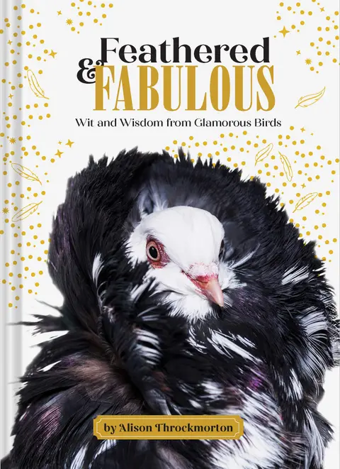 Cover of Feathered & Fabulous