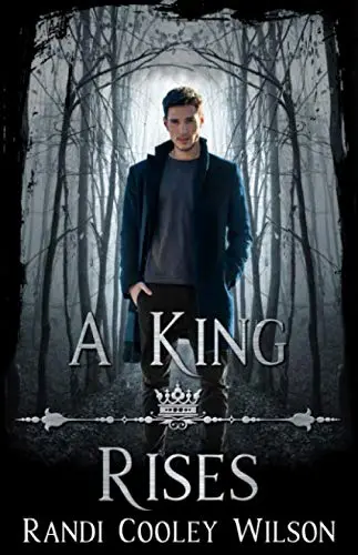 Cover of A King Rises Novella