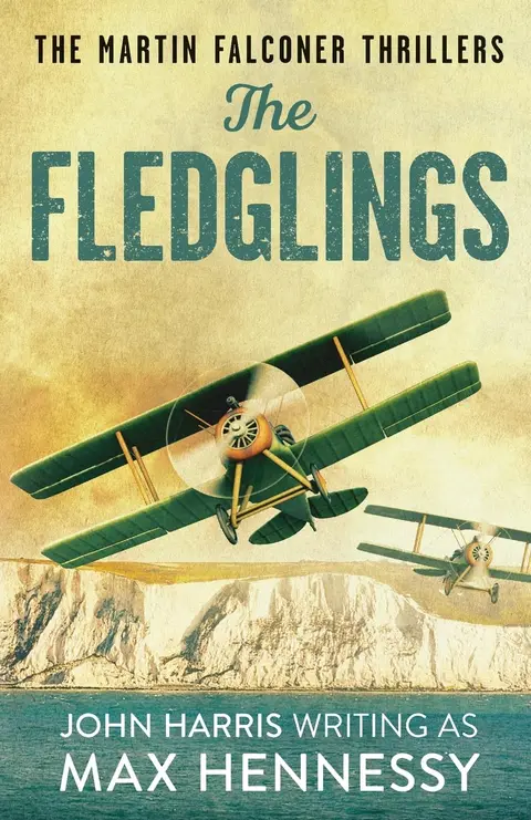Cover of The Fledglings