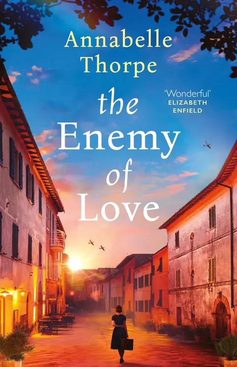 Cover of Enemy of Love