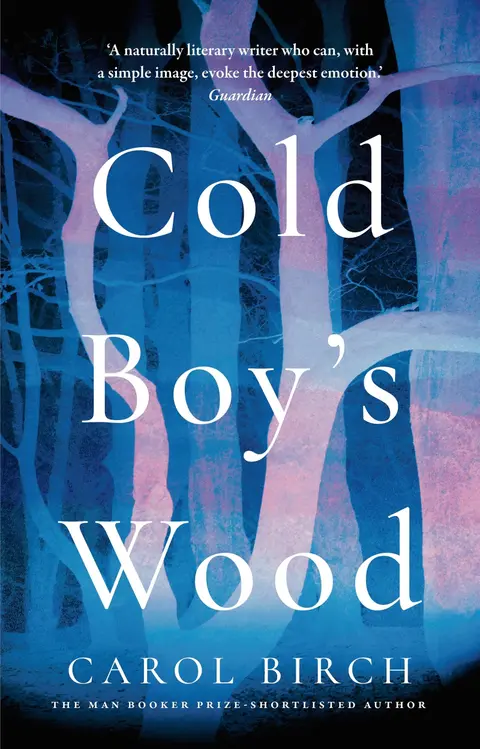 Cover of Cold Boy's Wood