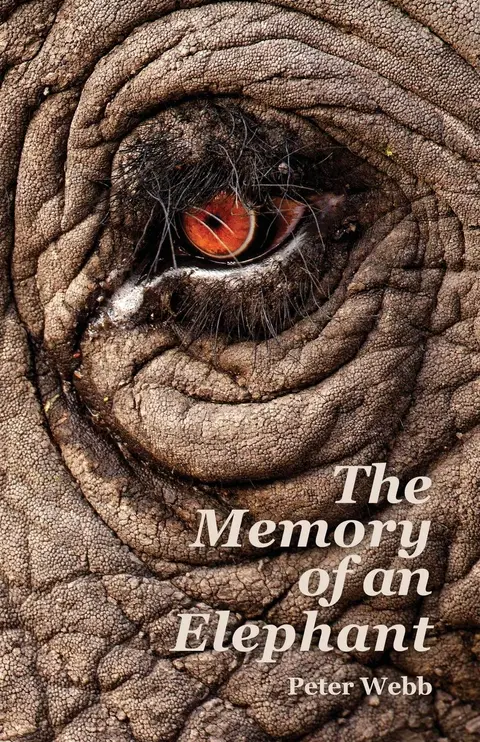 Cover of The Memory of an Elephant