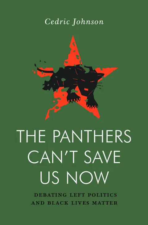 Cover of The Panthers Can't Save Us Now