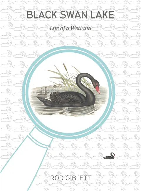 Cover of Black Swan Lake