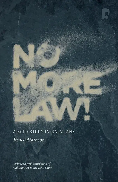 Cover of No More Law!