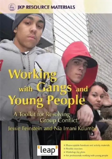 Cover of Working with Gangs and Young People