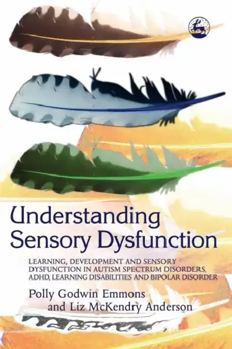 Cover of Understanding Sensory Dysfunction
