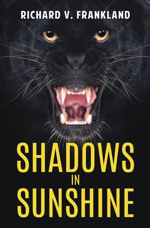 Cover of Shadows in Sunshine