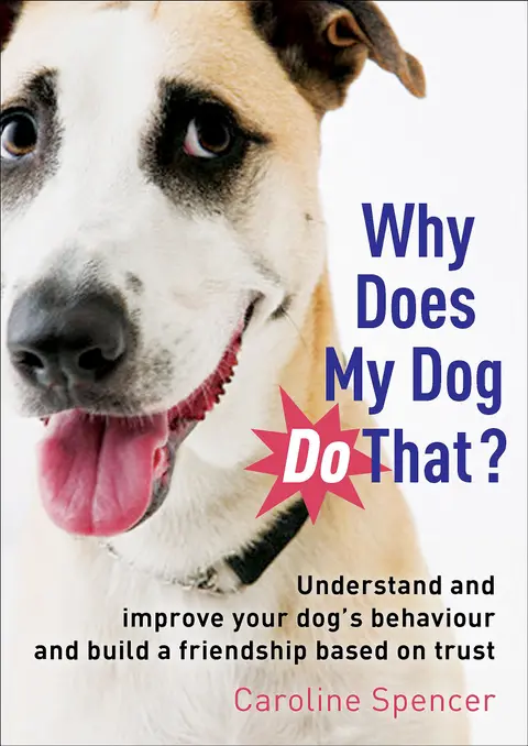 Cover of Why Does My Dog Do That?