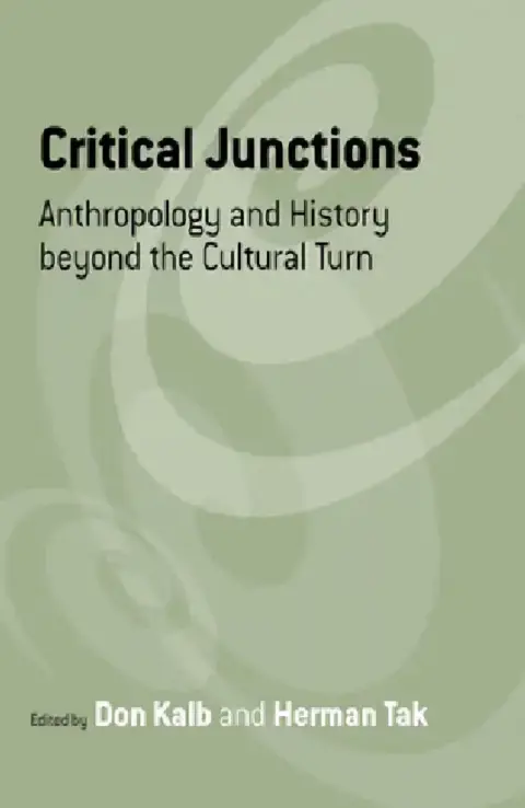 Cover of Critical Junctions