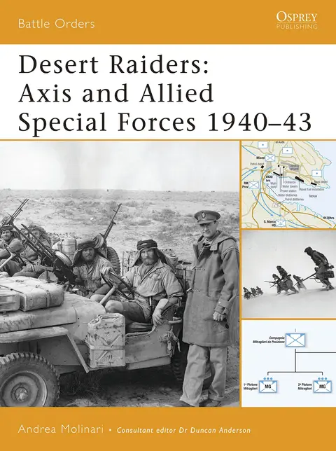 Cover of Desert Raiders