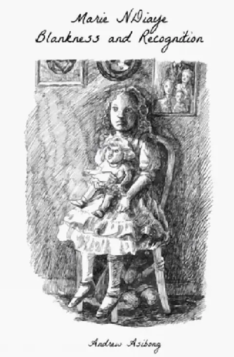 Cover of Marie NDiaye