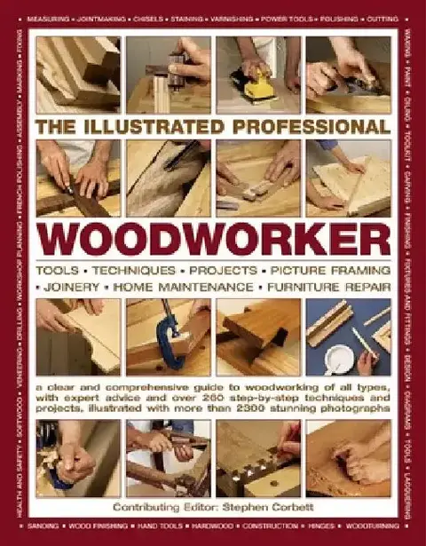 Cover of The Illustrated Professional Woodworker
